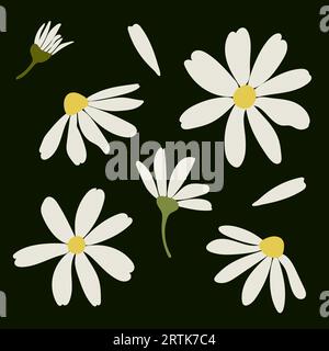 Weiße Kamillenblüten mit Gänseblümchen. Kamillenvektor-Illustrationsset. Niedliche Natursammlung mit rundem Blumenkopf. Dekorationselement. Love Card-Symbol Stock Vektor