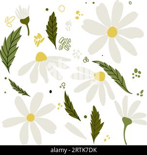 Weiße Kamillenblüten mit Gänseblümchen. Kamillenvektor-Illustrationsset. Niedliche Natursammlung mit rundem Blumenkopf. Dekorationselement. Love Card-Symbol Stock Vektor