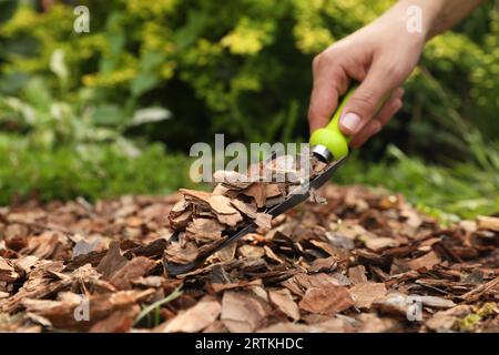 Frau, die Erde mit Rindensplittern im Garten Mulcht, Nahaufnahme Stockfoto