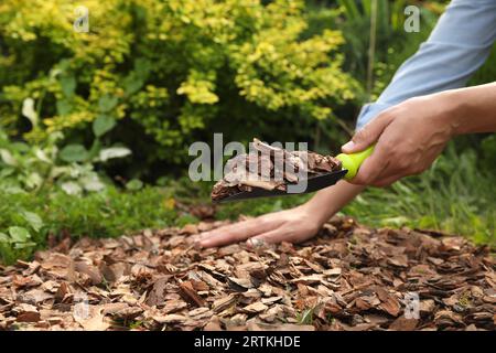 Frau, die Erde mit Rindensplittern im Garten Mulcht, Nahaufnahme Stockfoto