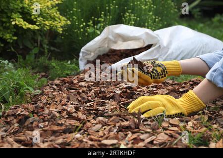 Frau, die Erde mit Rindensplittern im Garten Mulcht, Nahaufnahme Stockfoto