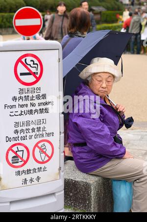 Matsubara-dori - die Haupteinkaufsstraße, die nach Kiyomizu Dera, Kyoto JP führt Stockfoto