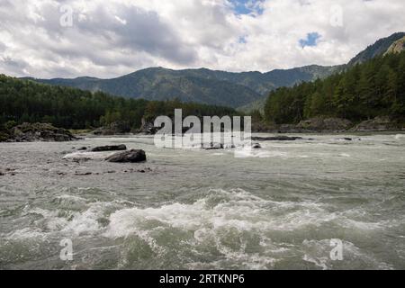 Ein breiter, voll fließender Gebirgsfluss mit einer schnellen Strömung. Große Steine ragen aus dem Wasser. Der große türkisfarbene Gebirgsfluss Katun im Stockfoto