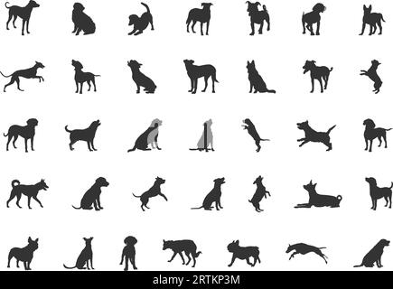 Hund Silhouette, Hund Silhouette Sammlung, Hund Rassen Silhouetten, Hund Tier SVG, Hunde Vektor-Illustration, Symbol „Hunde“ Stock Vektor