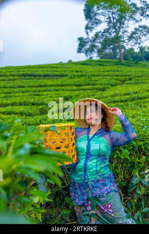 Ein asiatischer Bauer, der einen Hut aus Bambus trägt, während er am Nachmittag inmitten einer Teeplantage ist Stockfoto