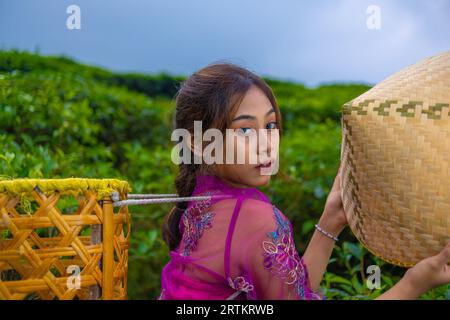 Ein vietnamesisches Mädchen steht in der Mitte eines Teegartens, während es einen Bambuskorb trägt und tagsüber einen Bambushut hält Stockfoto