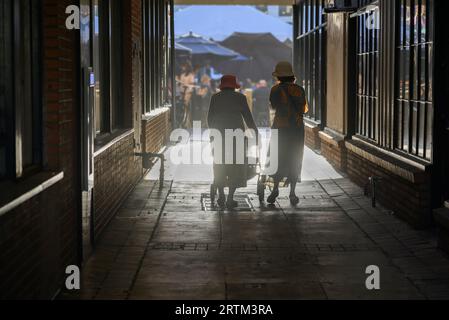Ältere Frau, die mit einem Gehhilfen im Flur zu einem Markt im Freien geht, begleitet von ihrer Tochter. Stockfoto