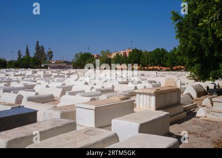 Marokko: Beth Mo'Ed Le'kol Chai oder jüdischer Friedhof von Marrakesch (Miaara-Friedhof), Medina von Marrakesch, Marrakesch. Der Miaara-Friedhof ist der größte jüdische Friedhof in Marokko und geht auf das Jahr 1537 n. Chr. zurück (5297 im jüdischen Kalender), obwohl man vermutet, dass das Gebiet bereits im 12. Jahrhundert für jüdische Bestattungen genutzt wurde. Stockfoto