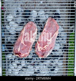 Hamburg, Deutschland. September 2023. Zwei Steaks liegen noch roh auf einem Holzkohlegrill. Credit: Markus Scholz/dpa/Picture Alliance/dpa | Markus Scholz/dpa/Alamy Live News Stockfoto