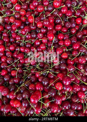 Viele rote reife Kirschen Vitamine köstliche Lebensmittel gesunde Lebensmittel als Hintergrund Stockfoto