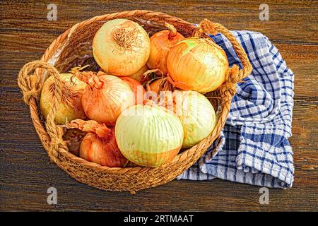 Ein Korb mit frisch geernteten Zwiebeln auf einem Holztisch, gebrauchsfertig Stockfoto