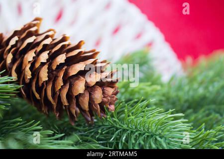 Brauner Tannenzapfen auf Fichtenzweigen hinter rotem Hintergrund mit weißen Fäden. Weihnachten, Neujahr. Leerzeichen kopieren Stockfoto