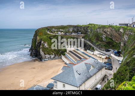 Tolcarne Beach in Newquay in Cornwall in Großbritannien. Stockfoto