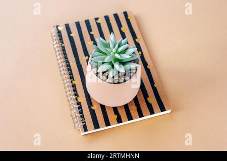 Notizblock und Sukulent auf einem Tisch. Minimale Zusammensetzung. Draufsicht. Stockfoto