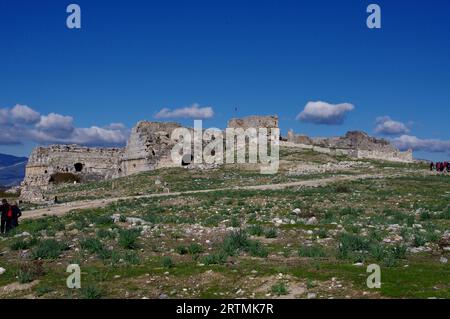 Ruinen des alten Amphitheaters von Milet. Didim, Aydın, Türkiye Stockfoto