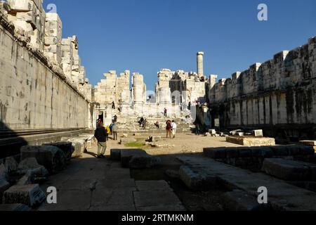 Antike Säulen säumen die Ruinen des Apollo-Tempels im antiken Didyma. Didim, Aydın, Türkiye. Stockfoto