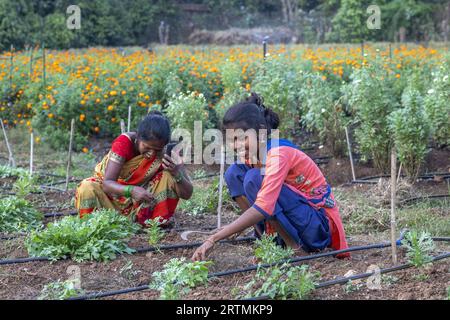 Gärtner arbeiten in einem der Gärten des Goverdan Ecovillage, Maharashtra, Indien Stockfoto