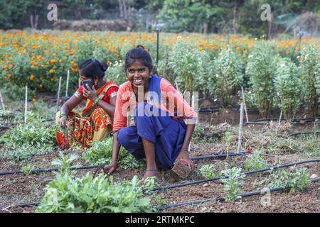 Gärtner arbeiten in einem der Gärten des Goverdan Ecovillage, Maharashtra, Indien Stockfoto