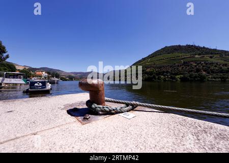 Weinberge im Douro-Tal im Herzen der Weinregion Alto Douro. Pinhao. Portugal. Stockfoto