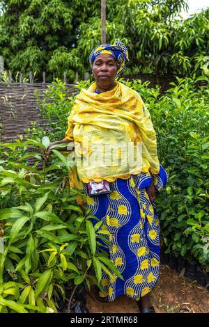 Eine Frau, die in ihrer Baumschule im Dorf Notto im Senegal steht Stockfoto