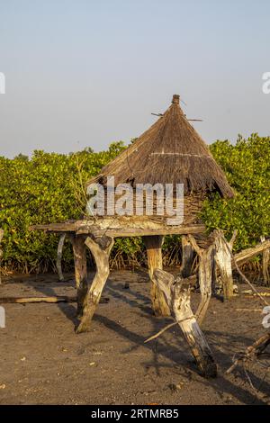 Antiker Kornspeicher mit einem Dach aus trockenem Gras auf einer Insel inmitten von Mangrovenbäumen, Joal-Fadiouth, Senegal Stockfoto