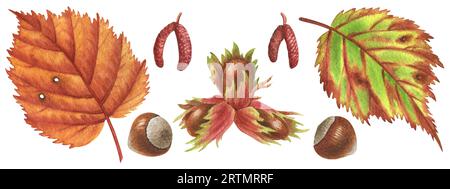 Herbstnüsse und -Blätter. Aquarellillustrationsset. Perfekt für Grußkarten, Cover, Drucke, Muster, Scrapbooking, Logo Stockfoto