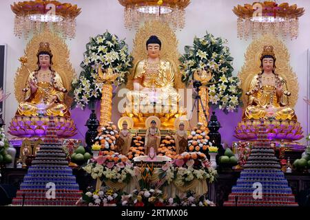 Tinh, Dieser Quan Am Pagoda. Siddhartha Gautama Buddha-Statue. Dalat. Vietnam. Stockfoto