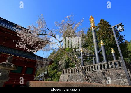 Nikkozan Rinnoji Tempel (buddhistischer Komplex mit einer berühmten Holzhalle) in Nikko, Japan Stockfoto