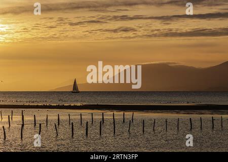 Segelschiff auf dem See Neuchâtel in der Schweiz Stockfoto