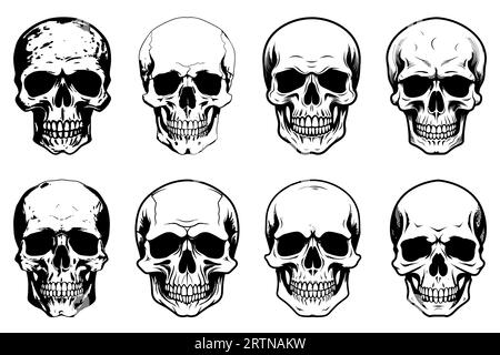 Menschenschädel gesetzt. Schädelsilhouetten. Skull-Symbole. Sammlung von Zeichnungen menschlicher Schädel. Vektorillustration Stock Vektor