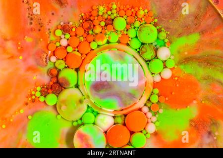 Heller und farbenfroher abstrakter Hintergrund aus Acrylfarben und Ölmix, Makroblase-Fotografie für Wandkunst Acrylfarbe und Ölmischung. Stockfoto