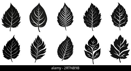 Blattschwarzes Symbol. Blattsymbole festgelegt. Symbole verschiedener Leaves. Vektorillustration. Stock Vektor