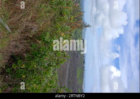 Panoramaaussicht über Kalalau Valley, Kauai, Hawaii - Vereinigte Staaten von Amerika Stockfoto