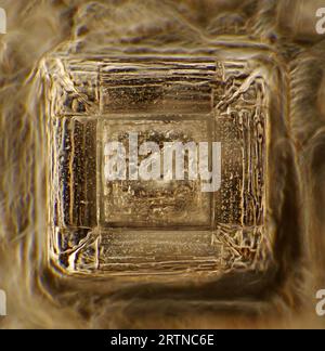 Das Bild zeigt einen einzelnen Kristall aus rekristallisiertem Kochsalz, der durch das Mikroskop in polarisiertem Licht mit einer Vergrößerung von 200X aufgenommen wurde Stockfoto