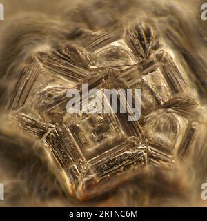 Das Bild zeigt Kristalle aus rekristallisiertem Kochsalz, die durch das Mikroskop in polarisiertem Licht mit einer Vergrößerung von 100X fotografiert wurden Stockfoto