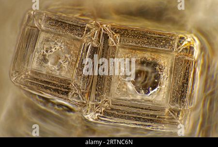 Das Bild zeigt Kristalle aus rekristallisiertem Kochsalz, die durch das Mikroskop in polarisiertem Licht mit einer Vergrößerung von 100X fotografiert wurden Stockfoto