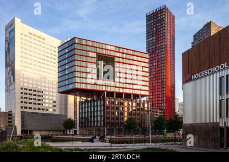 Genießen Sie den Sonnenuntergang in Rotterdam vom Penthouse im Red Apple Gebäude in Wijnhaven. Stockfoto