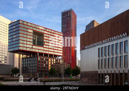 Genießen Sie den Sonnenuntergang in Rotterdam vom Penthouse im Red Apple Gebäude in Wijnhaven. Stockfoto