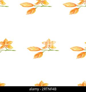Orchideenmuster in Aquarellfarben. Tropisches Blumenmuster, orange phalaenopsis. Exotische pflanzliche botanische Muster Hand gezeichnet für Textilien, Druck, Packagi Stockfoto