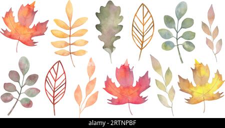 Sammlung von verschiedenen Herbstblättern.botanische Clipart für saisonale Feiertage.Thanksgiving,Halloween.Aquarellstil.handgefertigte isolierte Kunst Stock Vektor