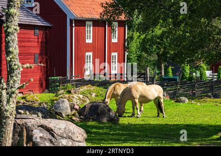 Stensjö by ist ein Dorf und Kulturreservat in Smaland bei Oskarshamn, Kalmar län, Schweden, das im frühen 19. Jahrhundert erhalten wurde. Stockfoto