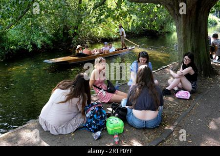Punting on the River Stour in Canterbury, Kent, Großbritannien. Wer Englands besucht, genießt den Schatten auf dem Fluss stour im Westgat Stockfoto
