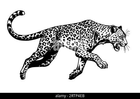 Schwarz-weiße handgezeichnete Tuschezeichnung von Leopardenwanderungen. Vektorillustration. Stock Vektor