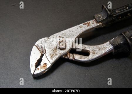 Zangenkopf auf schwarzem Holztisch in Nahaufnahme Stockfoto