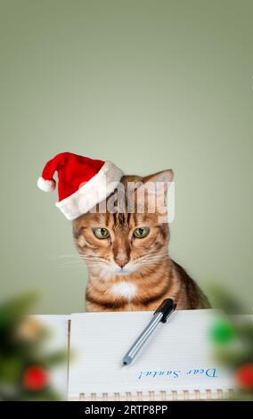 Eine Weihnachtskatze in einem Weihnachtsmannhut schreibt einen Brief an den Weihnachtsmann. Grußkarte. Leerzeichen kopieren. Stockfoto