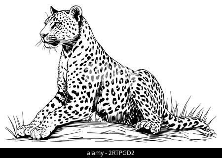 Schwarz-weiße handgezeichnete Tuschezeichnung eines sitzenden Leoparden. Vektorillustration. Stock Vektor