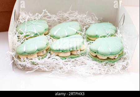 französische Macarons in Meeresschalenform in sanfter Pastellgrün-Farbe in der Geschenkbox Stockfoto