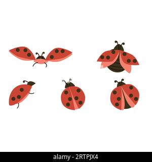 Set von roten Käfern und Käfern fliegen - Vektorillustration Stock Vektor