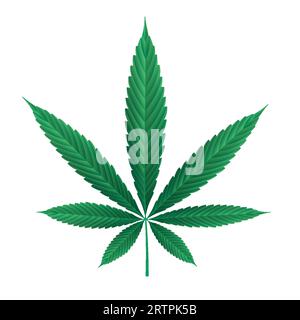 Marihuana-Blatt isoliert auf weiß. Vektorillustration des Cannabis-Pflanzenblattes Stock Vektor