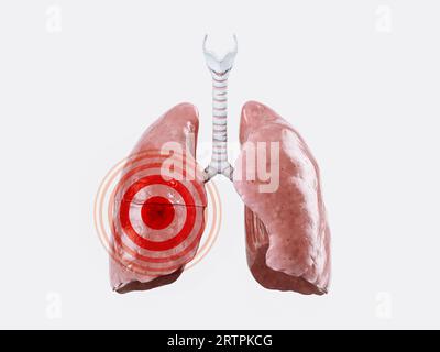 Krankheit oder Schmerzkonzept der menschlichen Lunge isoliert auf weiß mit rotem Schmerzzeichen darauf. 3D-Abbildung Stockfoto